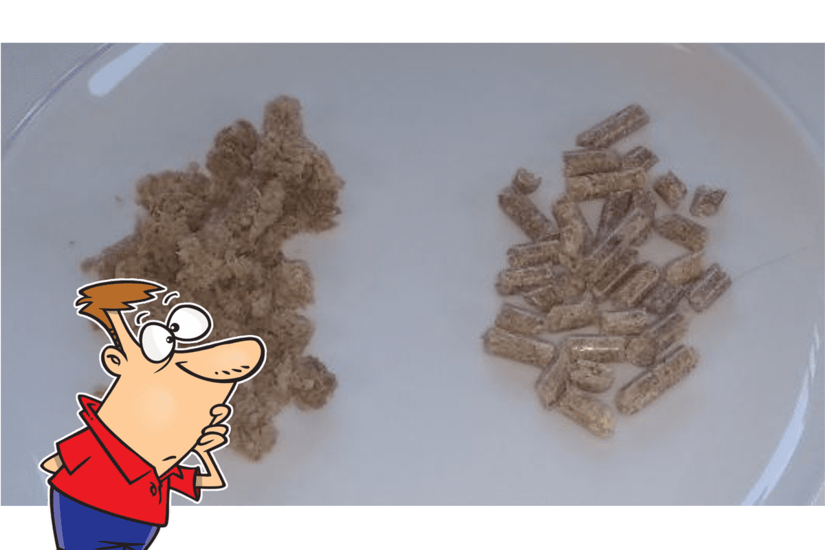 Do Wood Pellets Go Bad Or Have A Shelf Life? Yes and No...