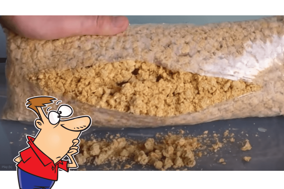What Happens If You Don't Keep Your Wood Pellets Dry?